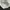 Nude the label Souffle Short Eyelet Embroidery White photo 7