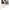 Nude the label Souffle Short Eyelet Embroidery White photo 10