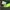 Nike Streetwear Casual Sneakers Pria multicolor photo 5