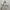 Vintage Guess Anorak Jacket Women photo 3