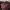 Vintage Dark Red Jacquard Flower Jacket photo 7