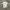 Nike Jersey Big Logo photo 2