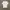 Nike Jersey Big Logo