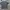 Kaos Aape by a bathing ape reversible photo 3