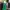 Casual Casual dress Wanita green photo 5