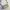 Marge Sherwood Outpocket Mini Bag Washed White Authentic