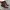 Sepatu boots timberland kulit asli dark brown photo 1