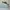Salomon Glide Max  photo 1