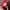 BALENCIAGA X PUMA SPEEDCAT SUEDE RED WHITE , BALENCIAGA X PU photo 7