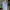 Atasan wanita premium  photo 1