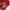 Hoodie merah COOL GIRL size 7  photo 5