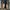 Clarks Wallabes Leather Gum Black  photo 3