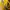 ❌️ NO NEGO ❌️ Paper Bag L'Occitane photo 5