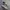 Vans Style 36 Decon VR3 SF Salt Wash Grape Leaf ( Size 42 ) photo 1