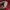 Bape A bathing ape Shark Camo red Tee Original photo 9