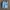 Connexion Long Sleeve T-Shirt size XL photo 1
