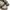 Gucci Sneakers Made in italy Verified Authentic photo 9