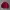 Maroon Suede Jacket Boxy fit photo 2