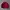 Maroon Suede Jacket Boxy Fit