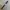 VINTAGE 1990’s ALBA TANK WATCH photo 2