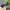 Calvin Klein 983s Sunglasses