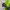 Calvin Klein 983s sunglasses photo 4