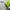 Calvin Klein 983s sunglasses photo 6