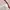 top polka coquette lolita red photo 3