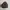 Nb 1000 photo 2