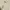 top sleeveless y2k fitbody cream tan photo 4