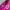 MLB Detroit Embroidered Baseball Jacket pink photo 4
