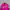 MLB Detroit Embroidered Baseball Jacket pink photo 8