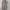 Corduroy baggy pants beige color photo 1