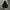 Blank hoodie 00s photo 1
