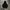 Blank Hoodie 00s