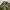 Vintage German Army Uniform 