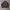 Vintage NIKE ACG Fleece Brown Jacket
 photo 1