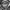 DON STRONG harrington leather jacket  photo 3