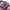 Kapital Kountry Streetwear Luxury Casual shirt Pria pink blue photo 3