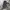 CARHARTT SHORTH photo 1