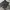 CARHARTT SHORTH photo 3