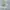 Yohji Yamamoto Streetwear Casual Casual shirt Pria white photo 4