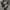 Adidas Vintage Streetwear Tracksuit Pria white black gray photo 4