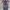 Baggyjeans baggy black wash celana baggy photo 3