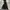 Mazume Windcut Softshell jacket Gropcore black  photo 1