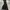 Mazume Windcut Softshell Jacket Gropcore Black 