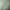 Outer crop  photo 6