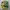 Vintage 1995 Green Bay Packers made in usa photo 2