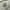 Vintage 1995 Green Bay Packers made in usa photo 3