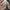 Baju Rashguard Korea Tube Tree Lengan Panjang Anti UV photo 4